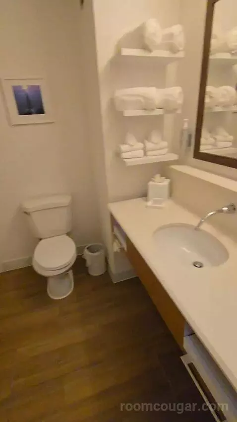 Double Queen Room with Microwave and Refrigerator bathroom picture #3