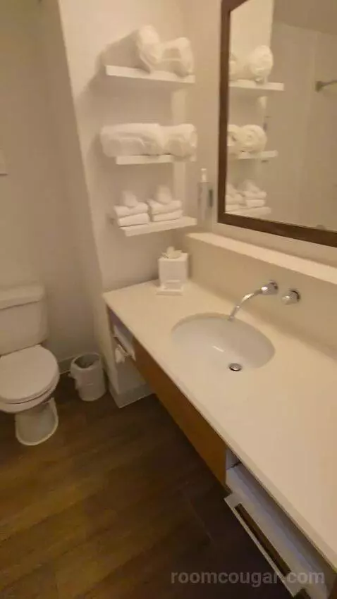 Double Queen Room with Microwave and Refrigerator bathroom picture #4