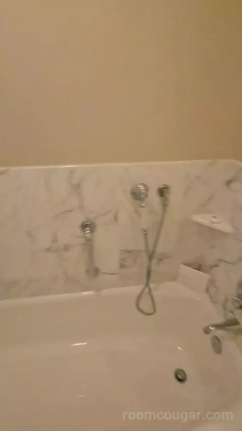 Resort View King (#4001) bathroom picture #6