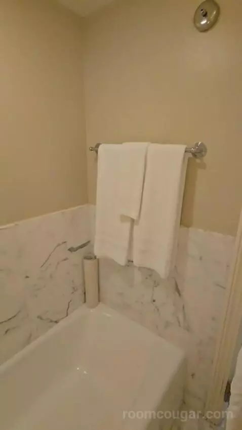 Golf View King (#4027) bathroom picture #8