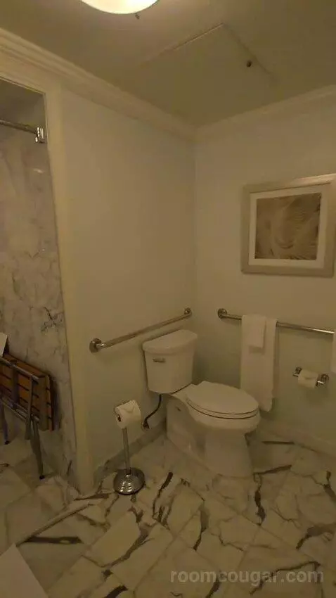 Fireside Terrace Double Suite (#63) bathroom picture #5
