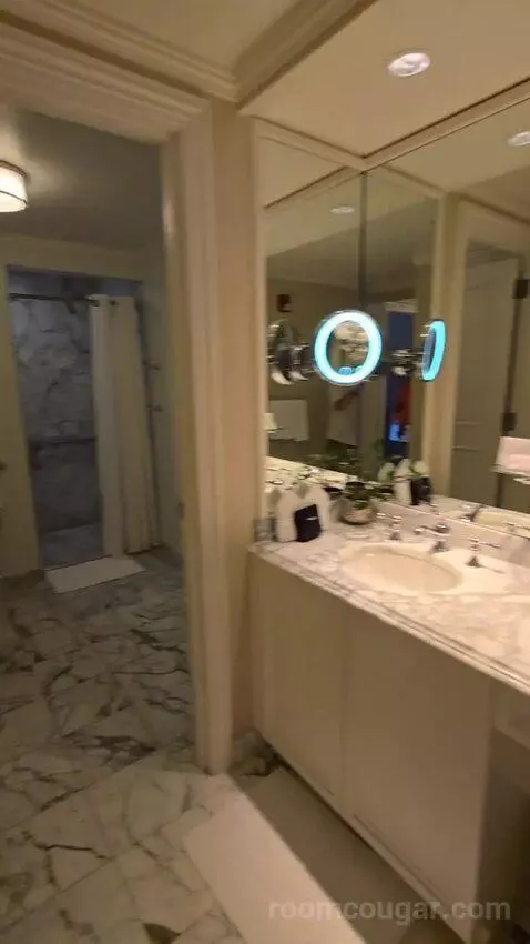 Fireside Terrace Double Room (#51) bathroom picture #2