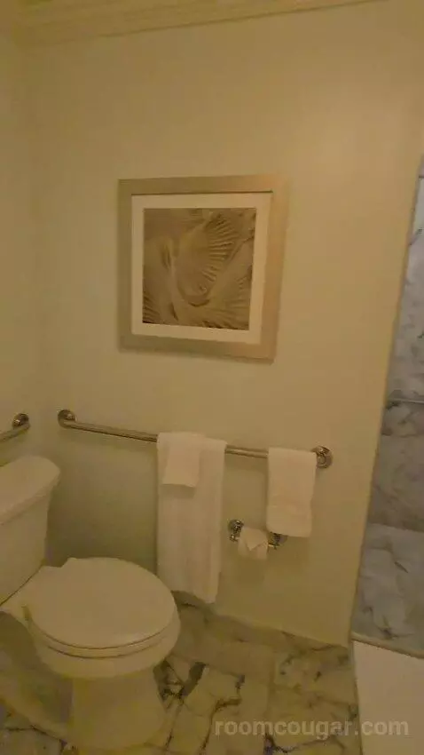 Fireside Terrace Double Room (#51) bathroom picture #3