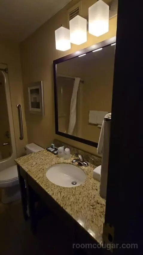 Dining Area | Two Queen Beds (#344) bathroom picture #2