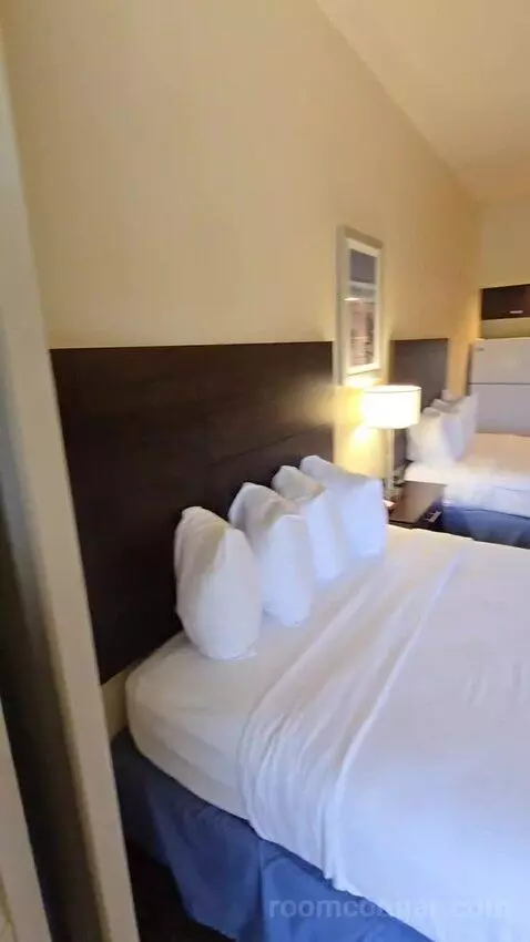 Non Smoking Double Queen Efficiency (#346) bed picture #7
