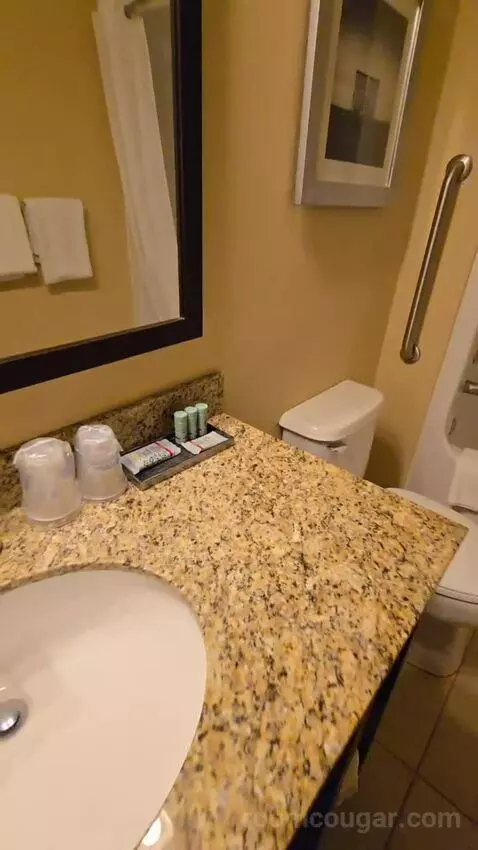 Non Smoking Double Queen Efficiency (#346) bathroom picture #3