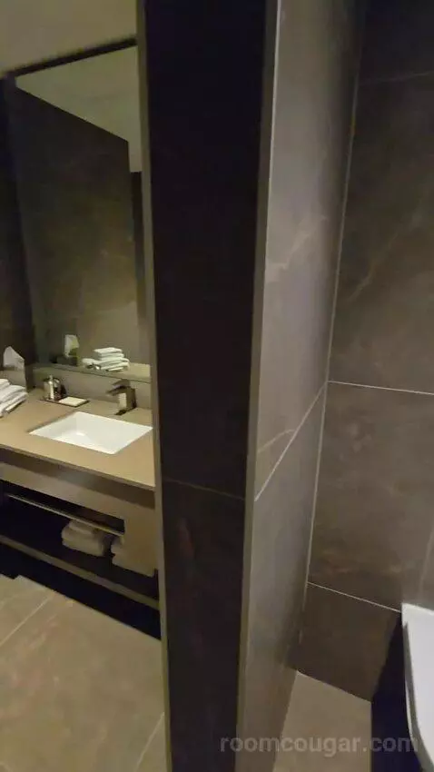 Suite (460/460A) bathroom picture #2