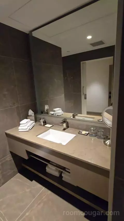 Suite (460/460A) bathroom picture #3
