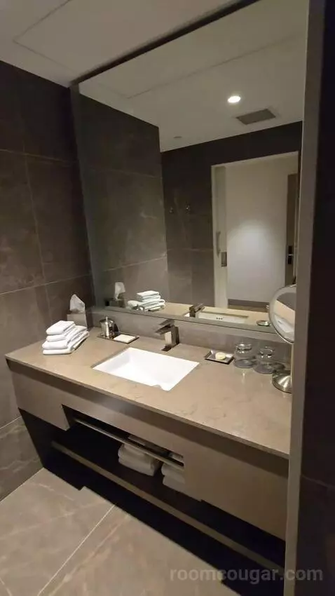 Suite (460/460A) bathroom picture #4