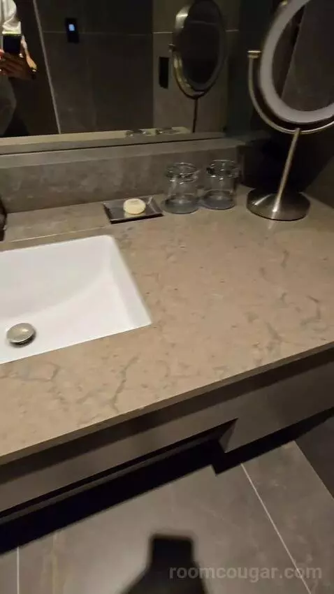 Suite (460/460A) bathroom picture #5