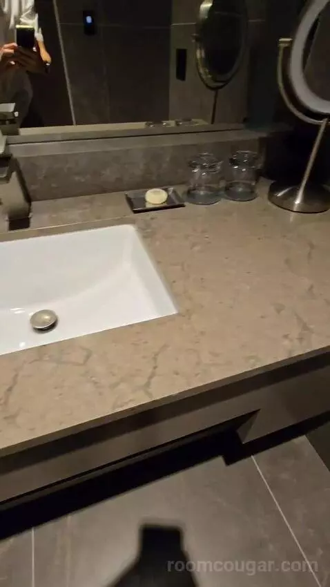 Suite (460/460A) bathroom picture #6
