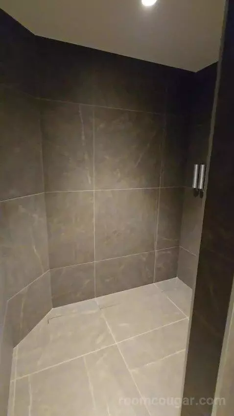 Suite (460/460A) bathroom picture #10