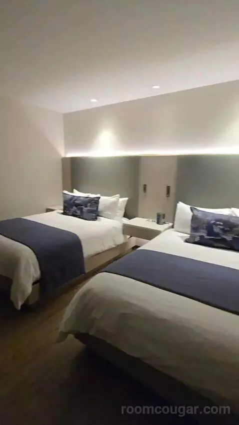 Suite (460/460A) bed picture #2