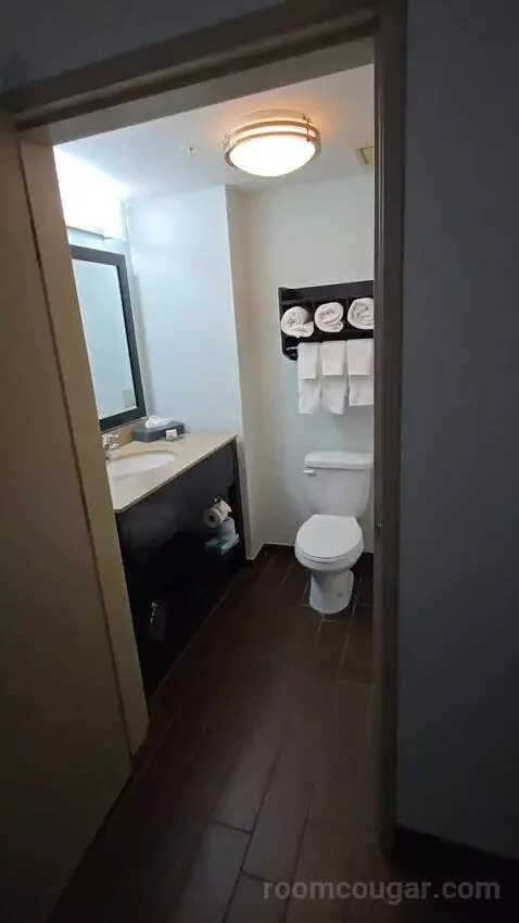 King Suite (#419) bathroom picture #1