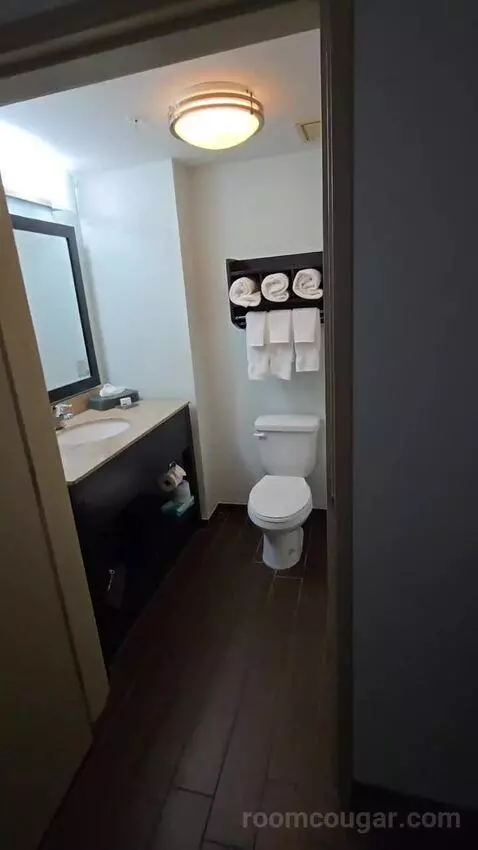 King Suite (#419) bathroom picture #2