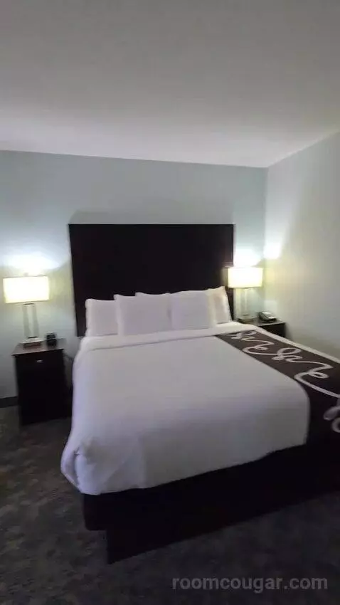King Suite (#419) bed picture #1