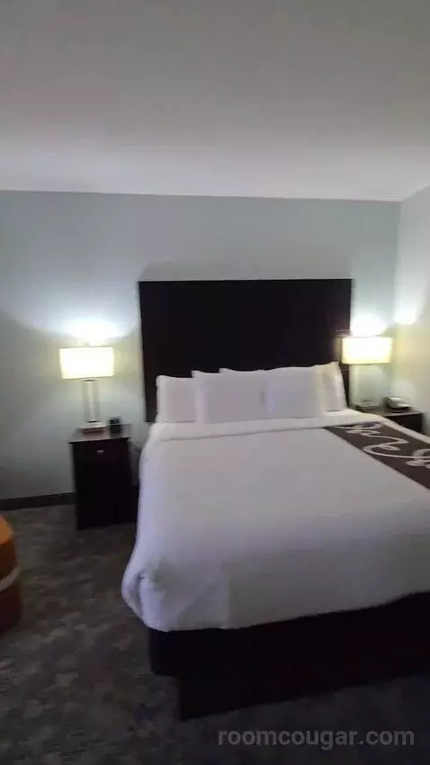 King Suite (#419) bed picture #2