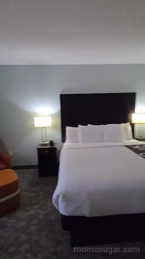 King Suite (#419) bed picture #3
