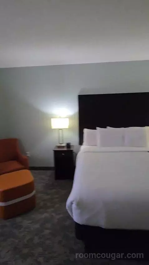 King Suite (#419) bed picture #4