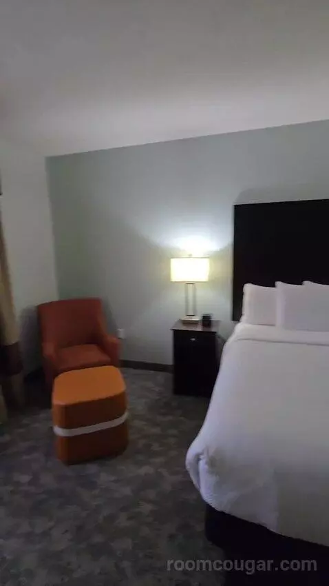 King Suite (#419) bed picture #6