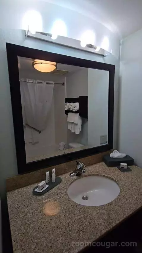 King Suite (#419) bathroom picture #3