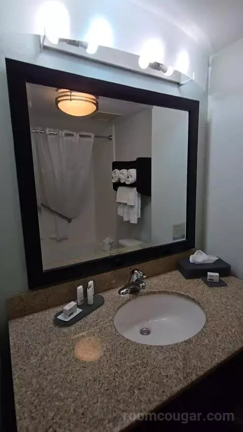 King Suite (#419) bathroom picture #4