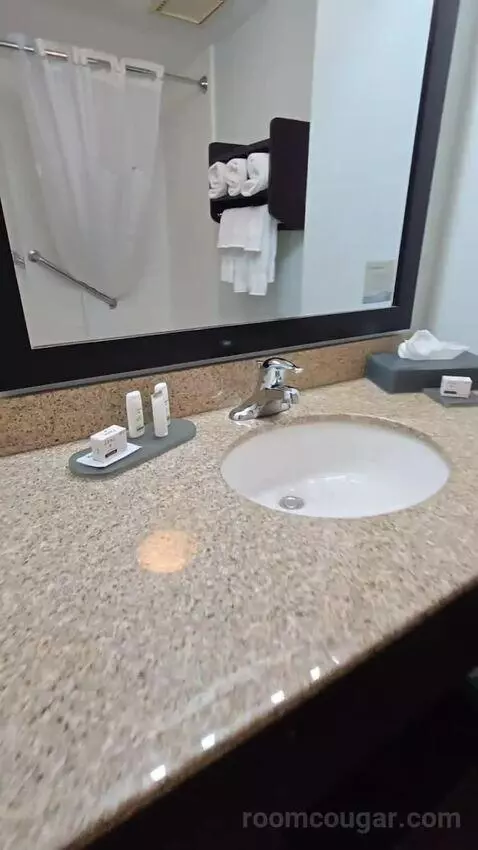 King Suite (#419) bathroom picture #5