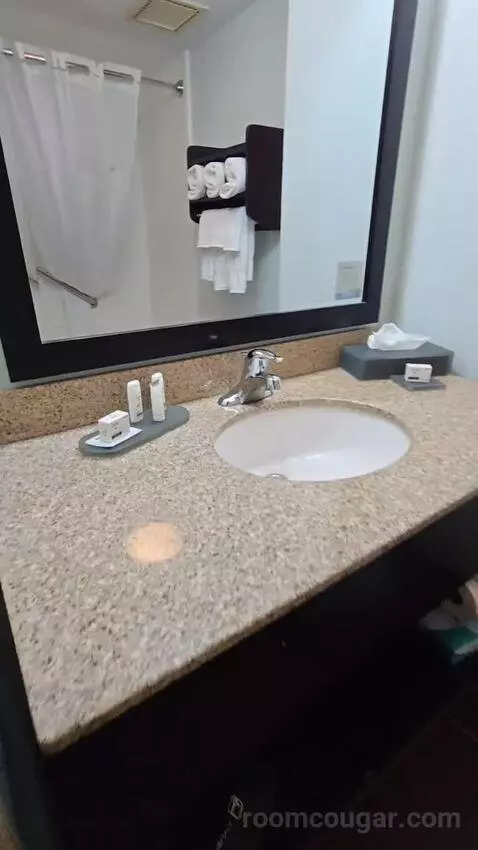 King Suite (#419) bathroom picture #6