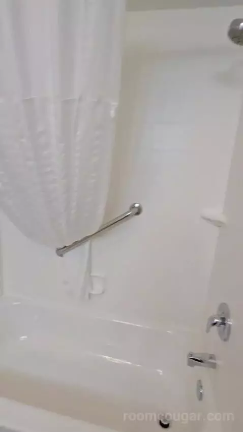 King Suite (#419) bathroom picture #7