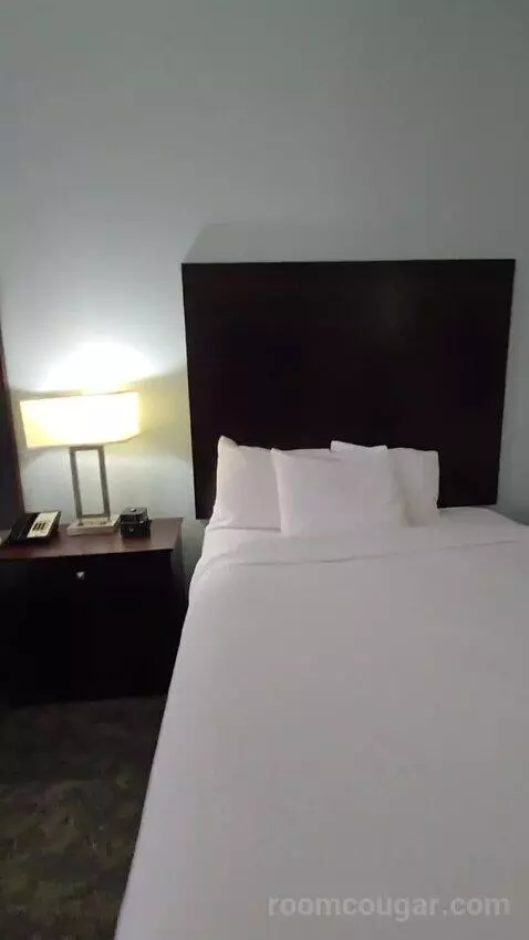 Queen Room with Two Queen Beds (#105) bed picture #9