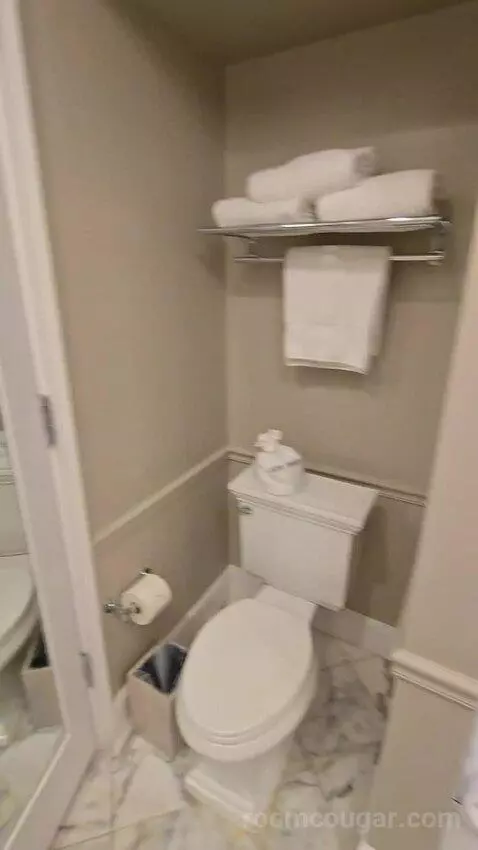 Bay View King (#685) bathroom picture #3