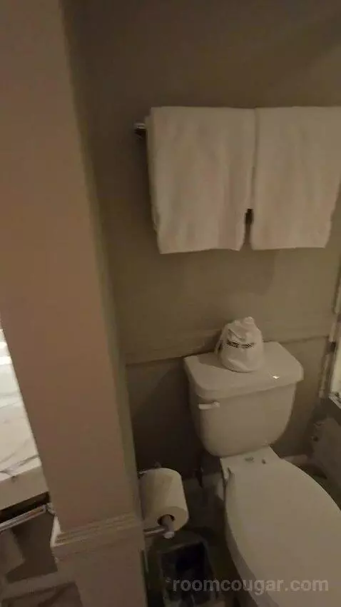 Beachfront King (#610) bathroom picture #3