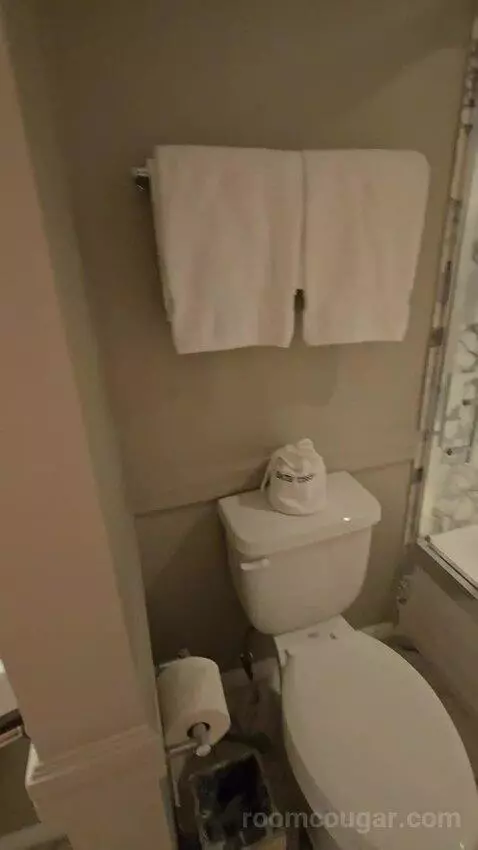 Beachfront King (#610) bathroom picture #4
