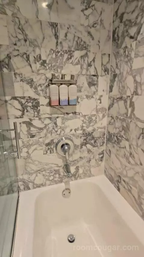 Beachfront King (#610) bathroom picture #7