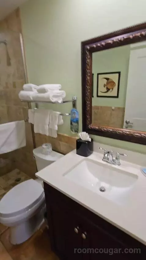 Junior Suite (#44) bathroom picture #1