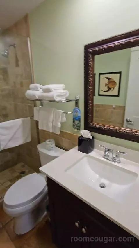 Junior Suite (#44) bathroom picture #2