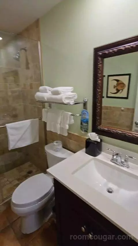Junior Suite (#44) bathroom picture #3