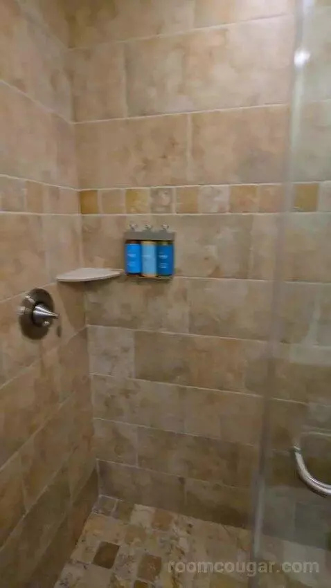 Junior Suite (#44) bathroom picture #5
