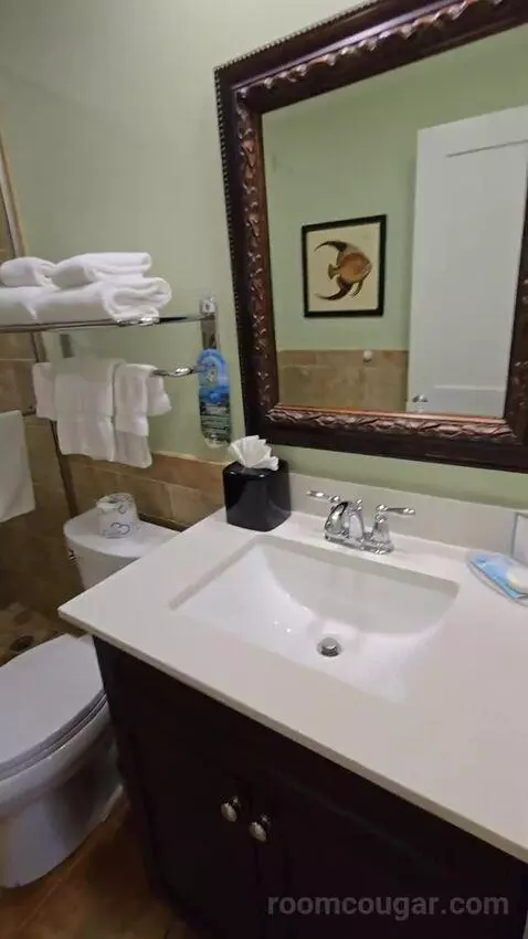 Junior Suite (#44) bathroom picture #10
