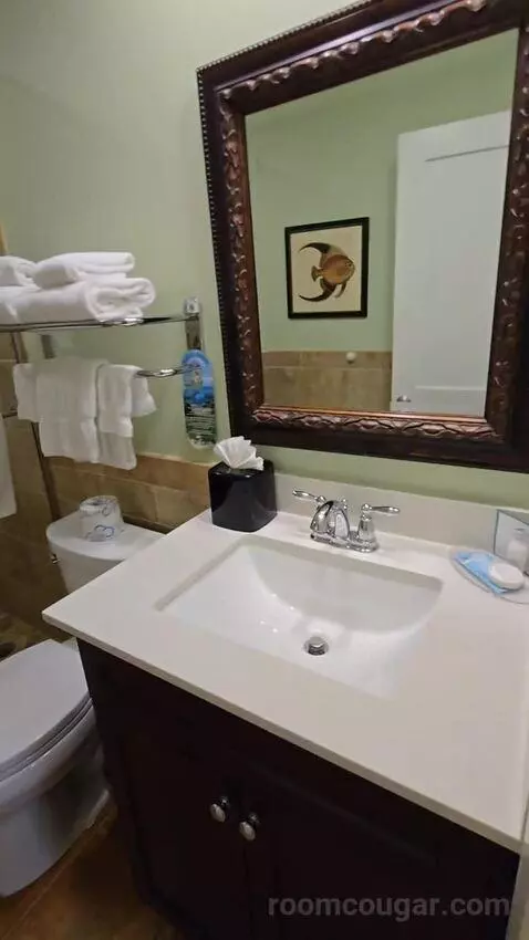 Junior Suite (#44) bathroom picture #11