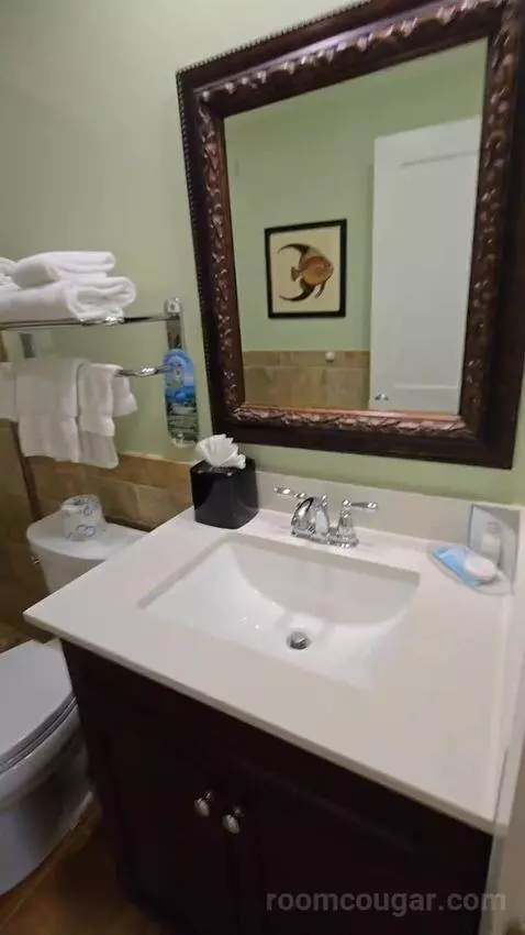 Junior Suite (#44) bathroom picture #12
