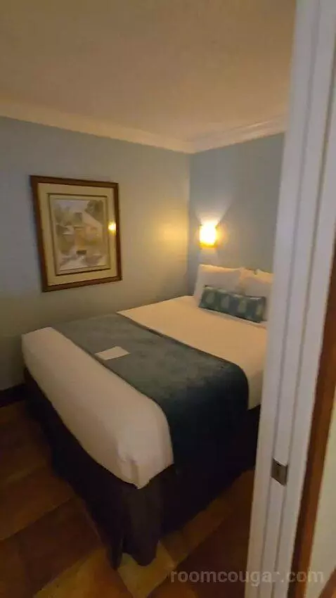 Junior Suite (#44) bed picture #3
