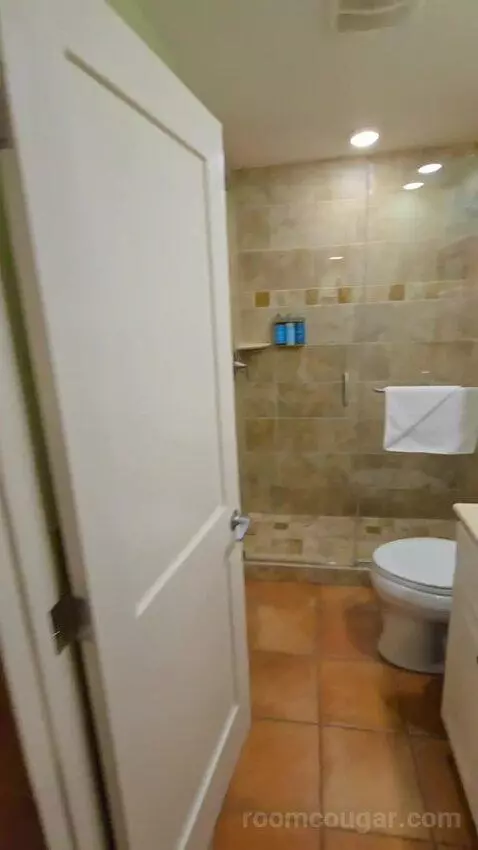 Standard Studio (#41) bathroom picture #2