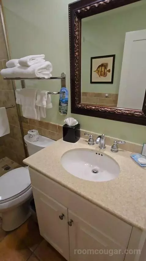Standard Studio (#41) bathroom picture #3
