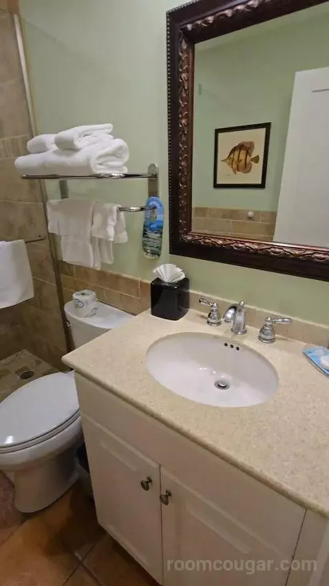 Standard Studio (#41) bathroom picture #4