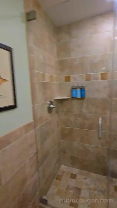 Standard Studio (#41) bathroom picture #6