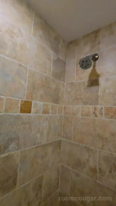 Standard Studio (#41) bathroom picture #7