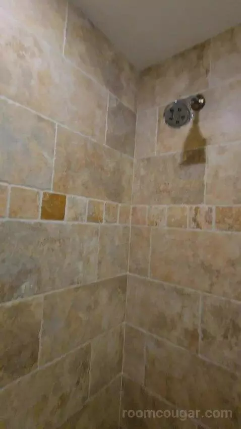 Standard Studio (#41) bathroom picture #8
