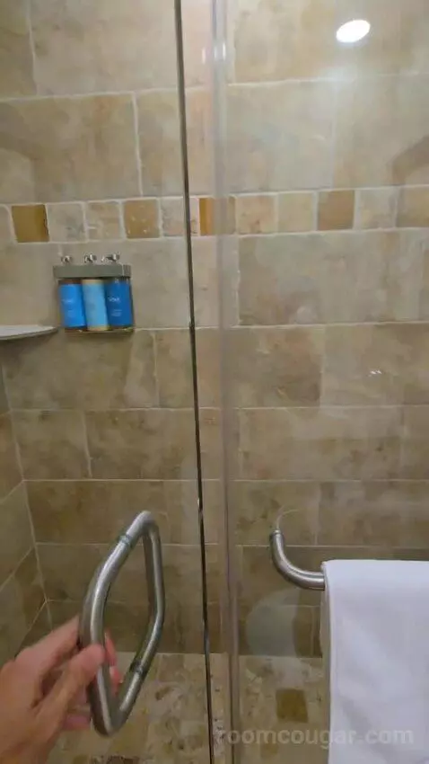 Standard Studio (#41) bathroom picture #9