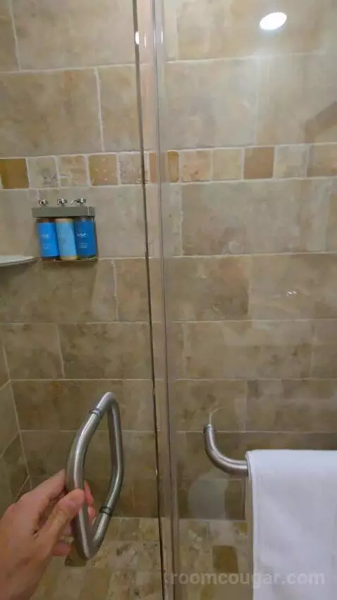 Standard Studio (#41) bathroom picture #10
